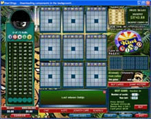 Kiwi Casino 